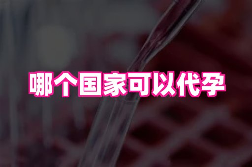 国际助孕网 3