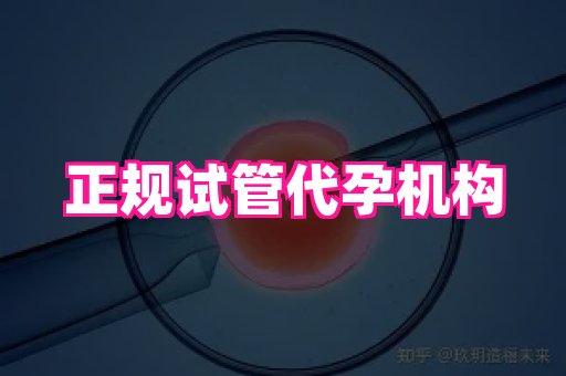 国际助孕网 4